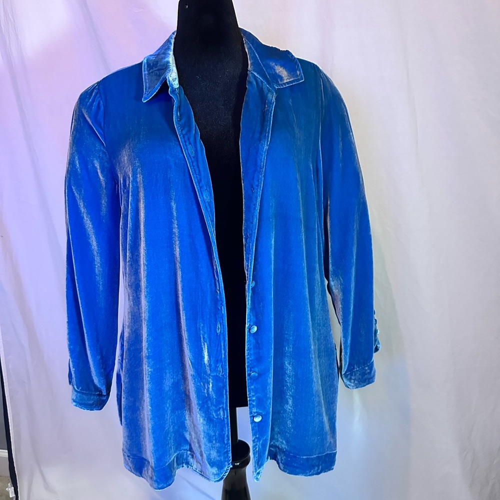 Soft Surroundings Blue Velvet Blouse